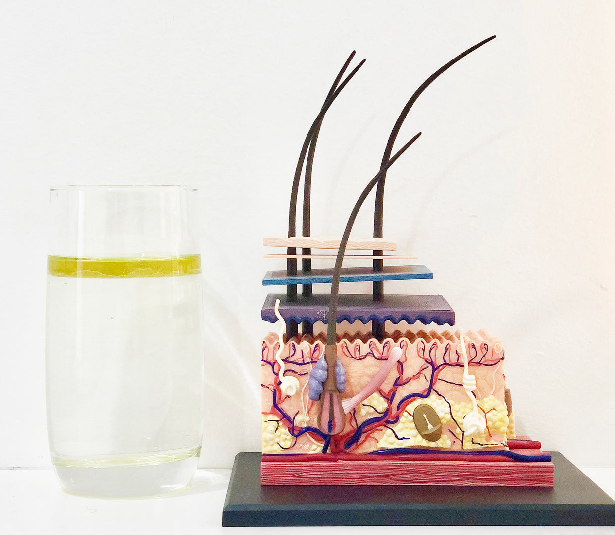 How to ACTUALLY hydrate your skin! Hint: It's not water