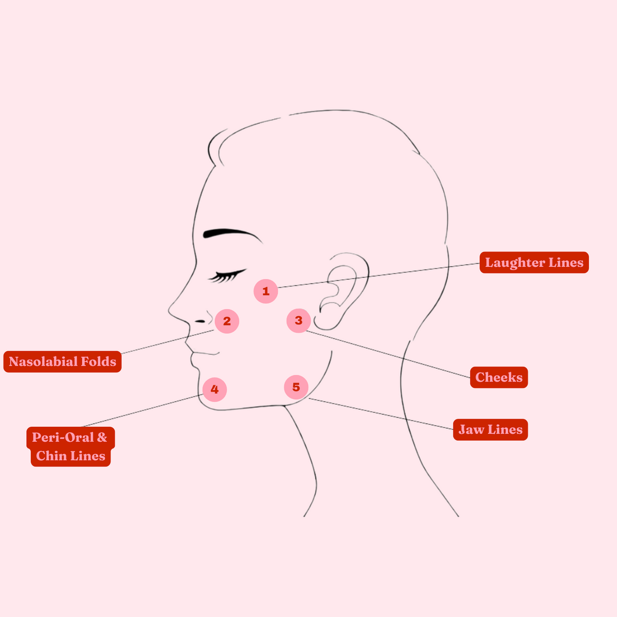 Bio-Remodelling Consult